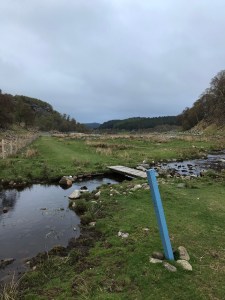 Open pastureland beyond Del Farm.  Lots of limestone seen here in these parts.  
